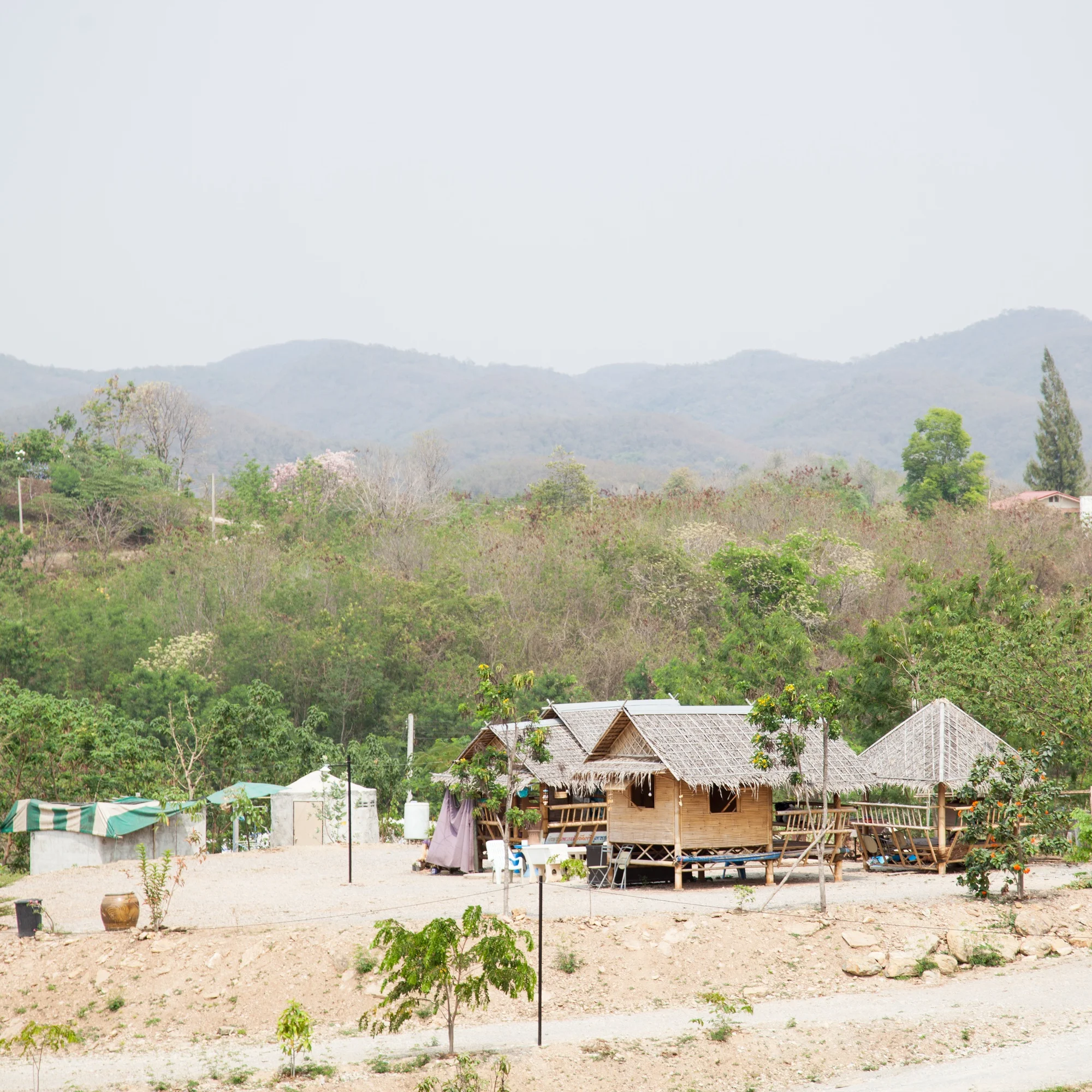 Rural Development Surveys